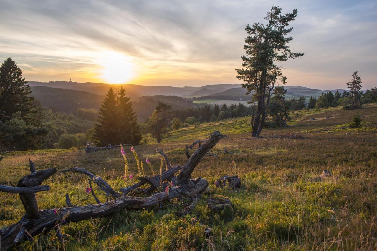 Fewo Poenblick Willingen  Exterior foto