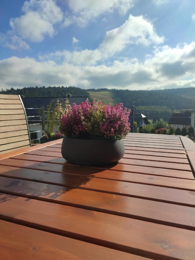 Fewo Poenblick Willingen  Exterior foto